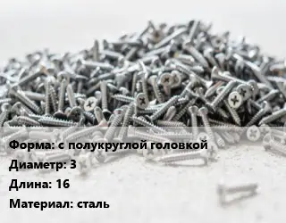 Шуруп с полукруглой головкой 3х16 сталь